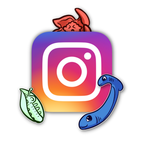 CLF Instagram Link