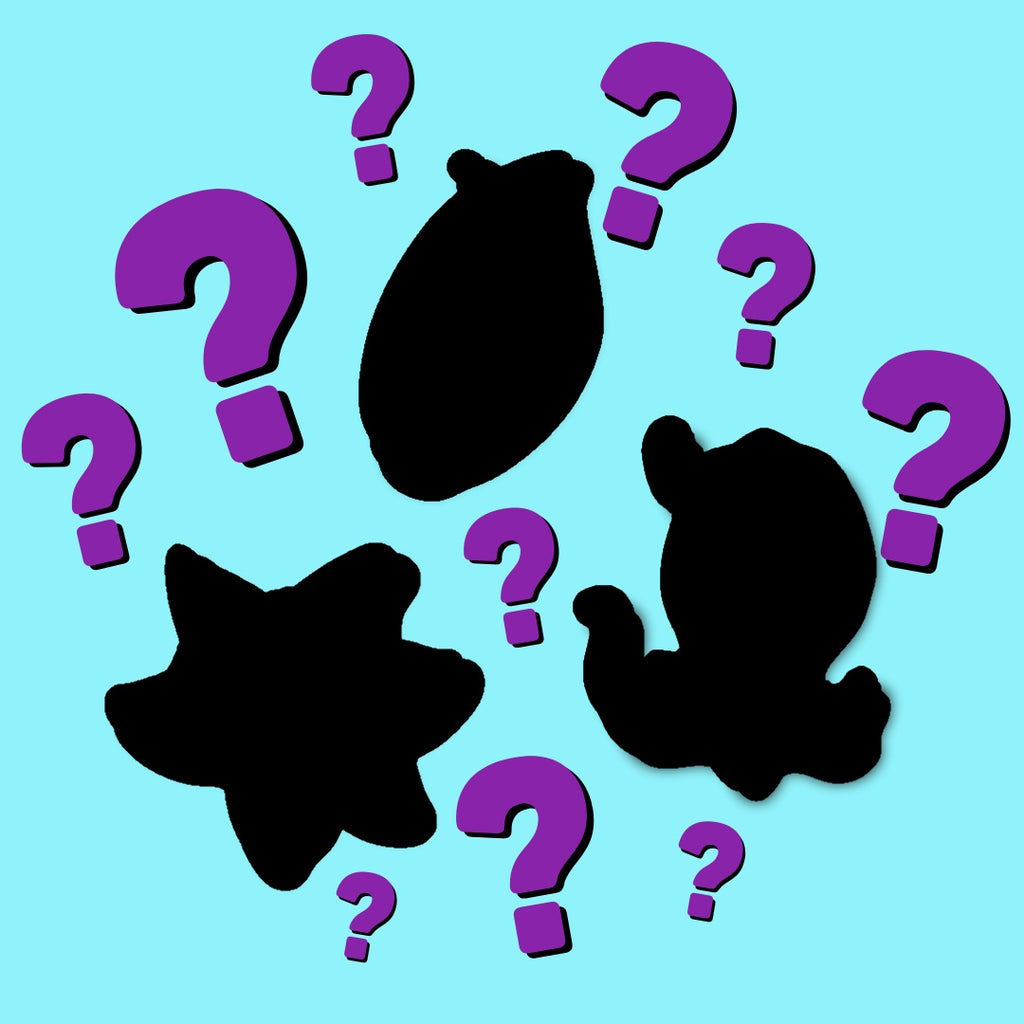 Mystery Enamel Pin! 🎩