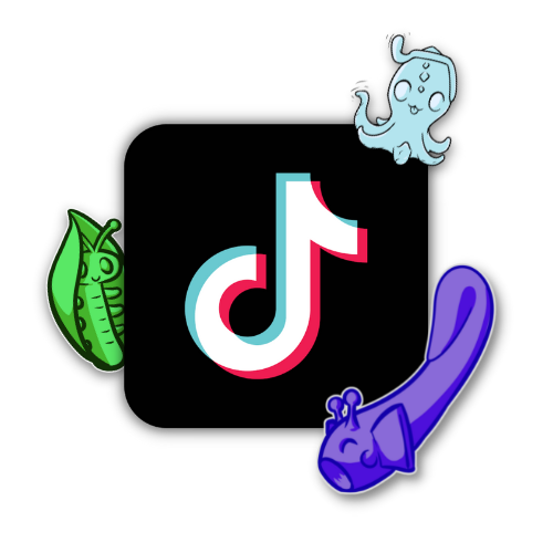 CLF Tiktok account link